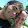 Camielle Swenson Camielle Swenson's profile photo
