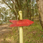 Red track track marker near the Mt Sugarloaf car park (324257)