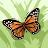Susan Beedle avatar image