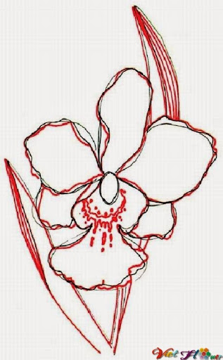 vẽ hoa lan bằng bút chì (bước 3)