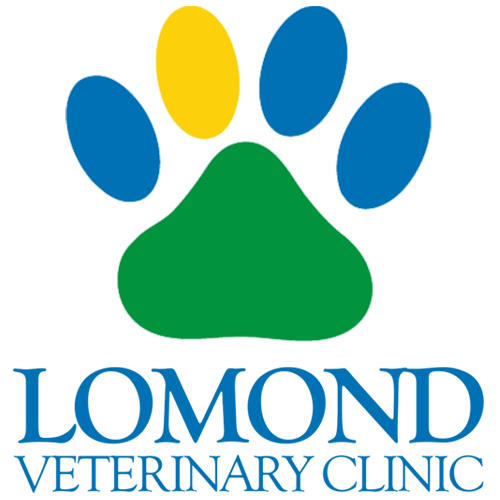Lomond Veterinary Clinic logo