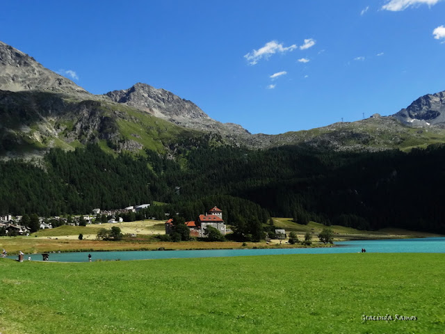passeando - Passeando pela Suíça - 2012 - Página 11 DSC03424