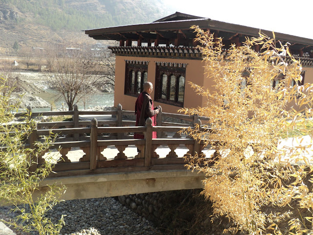 Ký sự chuyến hành hương Bhutan đầu xuân._Bodhgaya monk (Văn Thu gởi) DSC07022