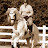 Laurietta Oakleaf avatar image