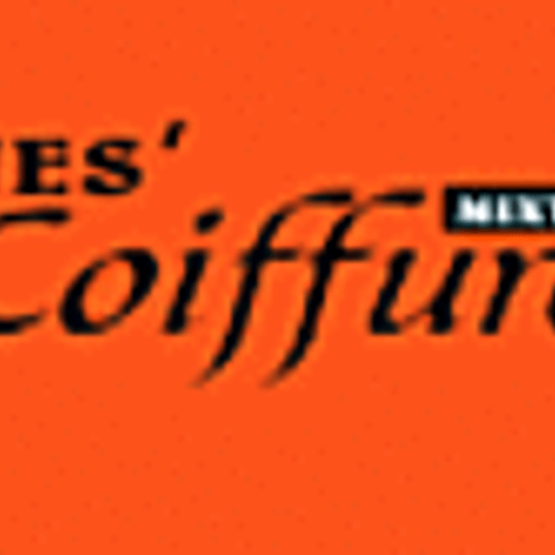 Nes Coiffure logo