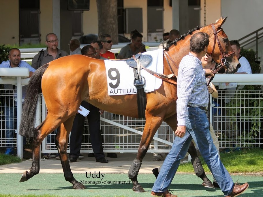 Photos Auteuil 8-06-2014  - Page 2 IMG_1843