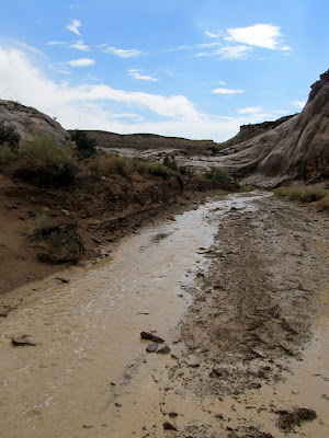 After the rain let up, Ernie Canyon had a small, steady flow