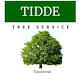 Tidde Tree Service Tuscaloosa
