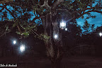 Iluminação Noturna
