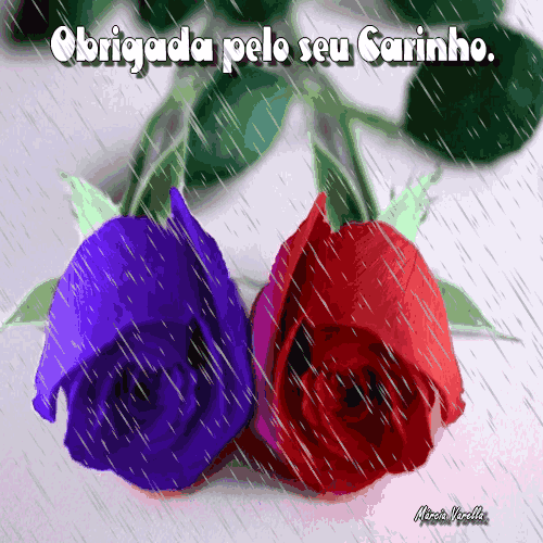 agradecimentos-1.gif