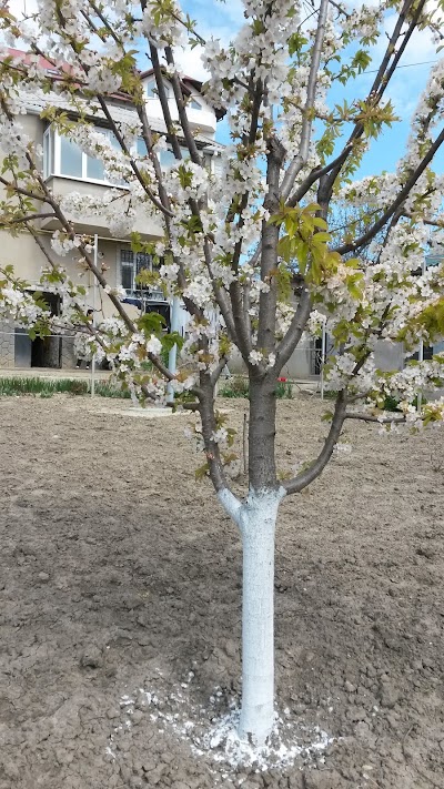 Photos of Parcul &bdquo;Mihai Eminescu&rdquo;