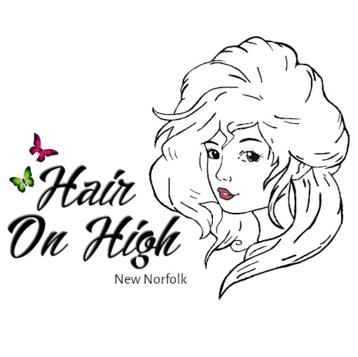Hair On High - New Norfolk logo