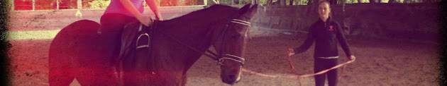 Cover photo