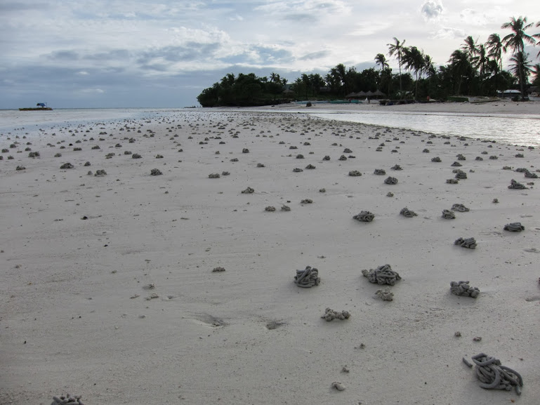 Долгими дорогами в поисках праздника для души. Январь 2014