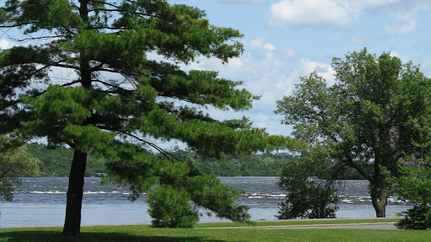 Cover photo