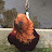 Addie Sorrell avatar image