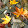 erika nuss erika nuss's profile photo