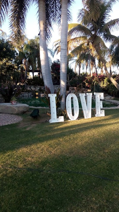 Photos of Vivero Tropical