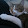 Xap Esler Xap Esler's profile photo