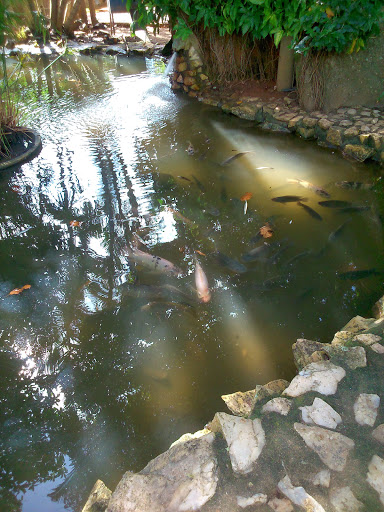 photo of Pousada Fazenda São João