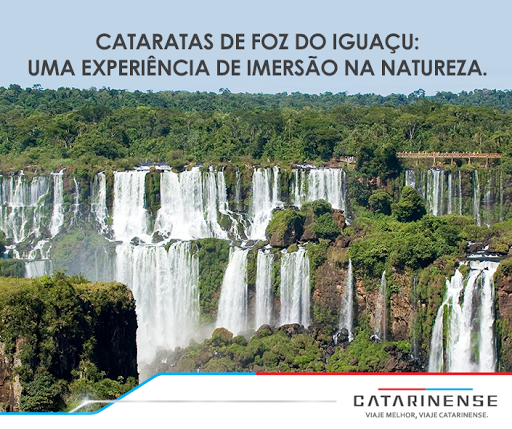 Auto Viação Catarinense, Av. Cel. Firmo Viêira de Camargo, 95 - Jardim São Paulo, Tatuí - SP, 18270-770, Brasil, Serviços_Transporte_e_entrega, estado São Paulo