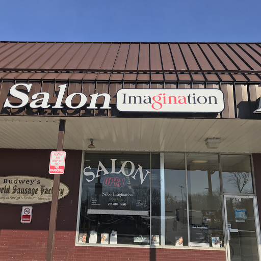 Salon Imagination logo