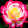Pixel Musings Pixel Musings's profile photo
