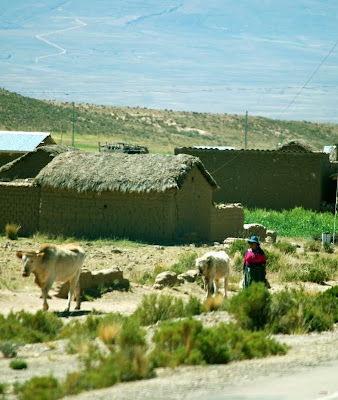Route Bolivienne 1315