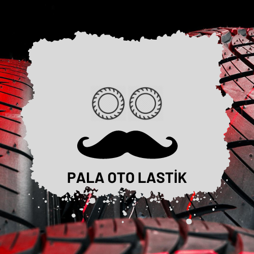 Pala Oto Lastik logo