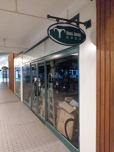 Photos of Bull Bike Central Store 野牛單車中環店