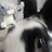 funnybunny and mangle r