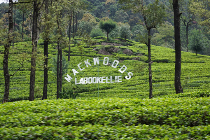 Шри-Ланка: на машине 1 100 км,  фото без комментариев, март-апрель 2013г.