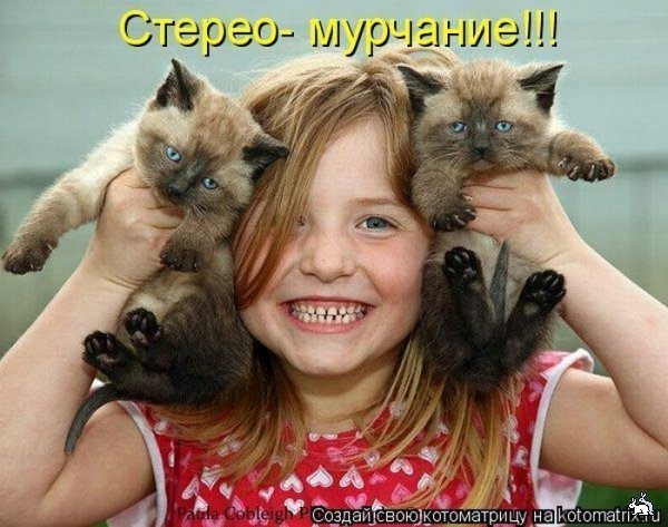 Ни дня без улыбки. Нам без дураков нельзя... Ни дня без улыбки. Нам без дураков нельзя...