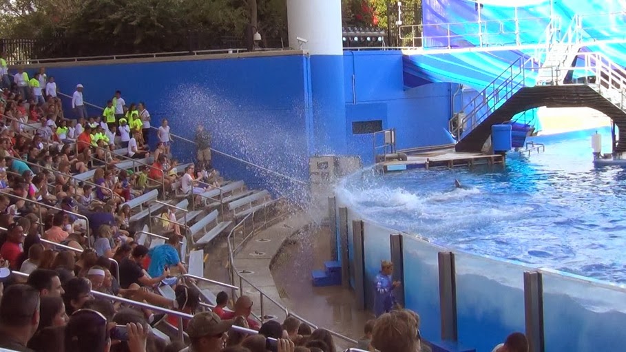 В Орландо, парк Sea World