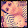 jamie street jamie street's profile photo