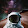 Paolo Lupo Paolo Lupo's profile photo