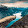 Nil Sanyas Nil Sanyas's profile photo