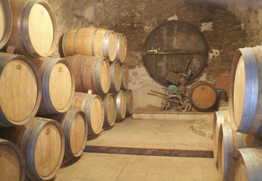 Main image of Celler Marià Pagès