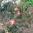 Josepha-Michal Walker avatar image