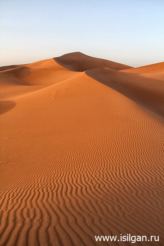 С какой скоростью увеличивается пустыня Сахара? :: Почемучка. Детские вопросы