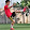 Luong Khang Luong Khang's profile photo