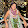 Ashley Densing Ashley Densing's profile photo