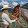 Lydia Anne Smith Lydia Anne Smith's profile photo