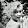 Eve CAGNA Eve CAGNA's profile photo