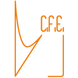 C.F.E. S.r.l. logo