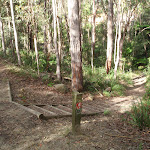 Steps near Disturbed creek (152752)