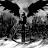 Dany Darke avatar image