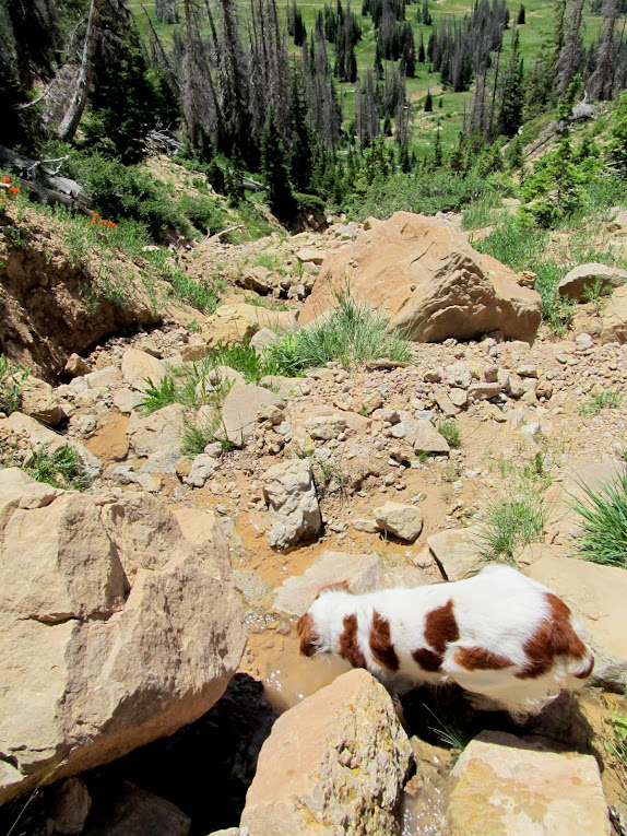 Descending from the saddle