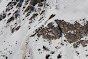 Avalanche Mont Thabor, secteur Pointe des Sarasins, La Turra - Valfréjus - Photo 3 - © Duclos Alain