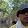 Sapian Abu Hasan Sapian Abu Hasan's profile photo